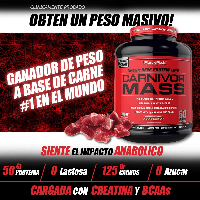 Ganador de masa muscular archivos Dasha Fitness Tienda de